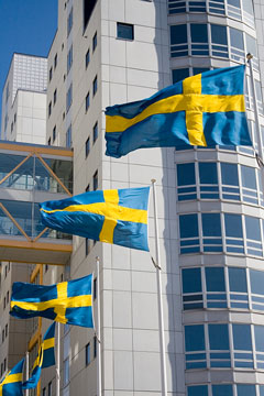Swedish flags flying in Stockholm, Sweden
